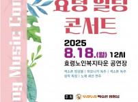 포스터 및 팜플렛 제작 / 효령힐링콘서트
